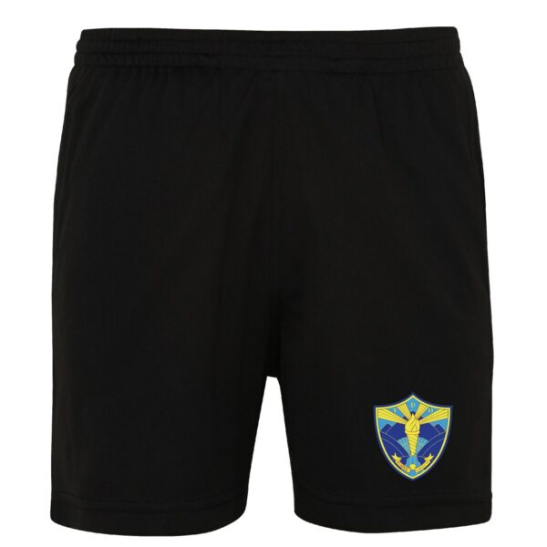 Dyffryn Ogwen PE shorts