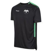 Bro Ffestiniog Technical T-Shirt