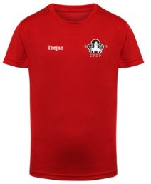 CPD Pwllheli FC Quick Dry Sports T-Shirt