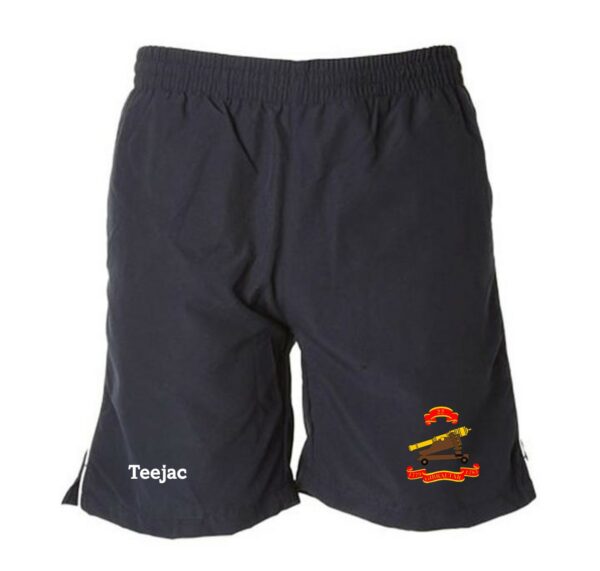 22 Battery Leisure Shorts
