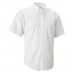 Dress Shirts