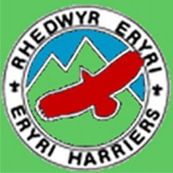 Eryri Harriers