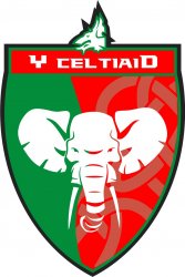 Y Celtiaid Rygbi