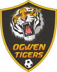 Ogwen Tigers FC