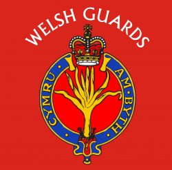 Welsh Guards