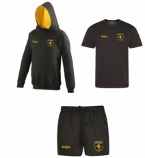 Bethesda RFC Minis Bundle