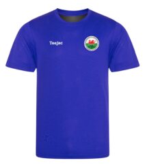 Llanfairpwll Juniors FC Kids Quick Dry Sports T-Shirt
