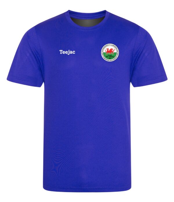 Llanfairpwll Juniors FC Quick Dry Sports T-Shirt