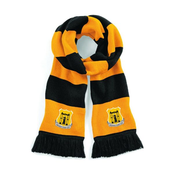 Amesbury RFC Supporters Scarf