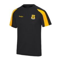Amesbury RFC Team Dry T-Shirt