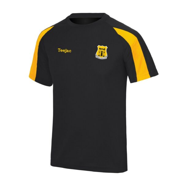 Amesbury RFC Team Dry T-Shirt