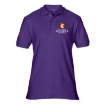 Bangor Uni School of Health Sciences Polo