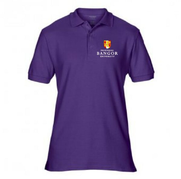 Bangor Uni School of Health Sciences Polo