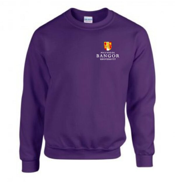Bangor Uni School of Health Sciences Sweatshirt