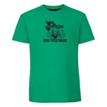 Bro Ffestiniog Print T-Shirt