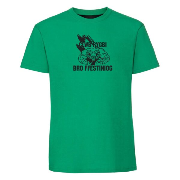 Bro Ffestiniog Print T-Shirt