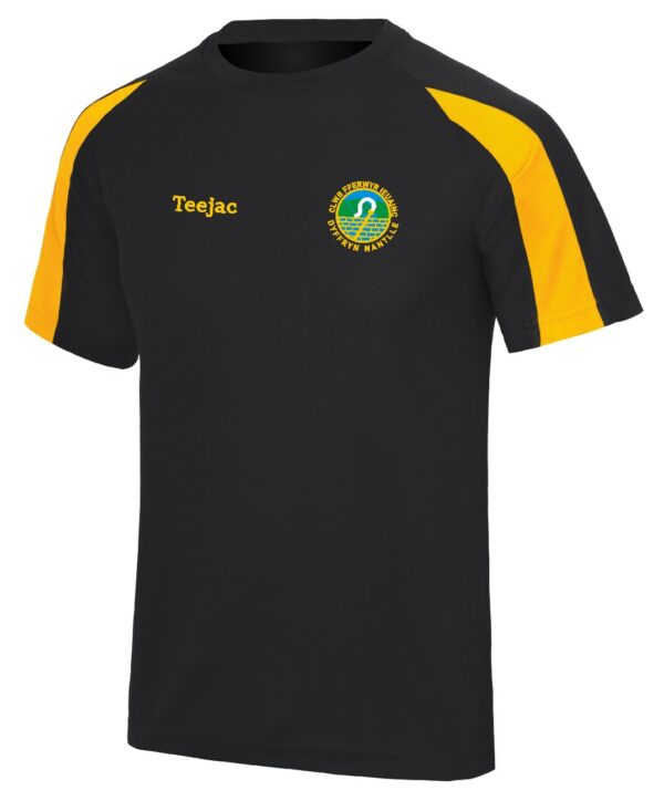 CFfI Dyffryn Nantlle Sports T-Shirt