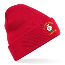 CFfI Llanrwst Beenie