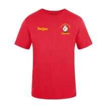 CFfI Llanrwst T-Shirt