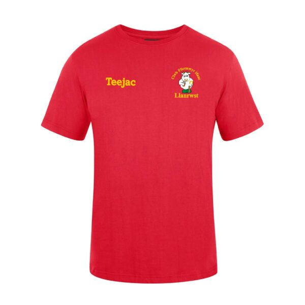 CFfI Llanrwst T-Shirt
