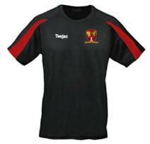 Criced Caernarfon Team Dry T-Shirt
