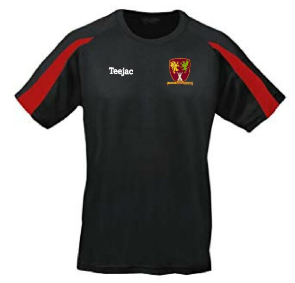 Criced Caernarfon Team Dry T-Shirt
