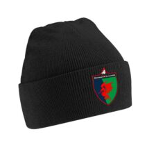 Dreigiau'r Glannau Beenie