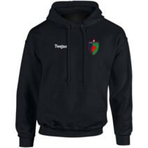 Dreigiau'r Glannau Classic Hoodie