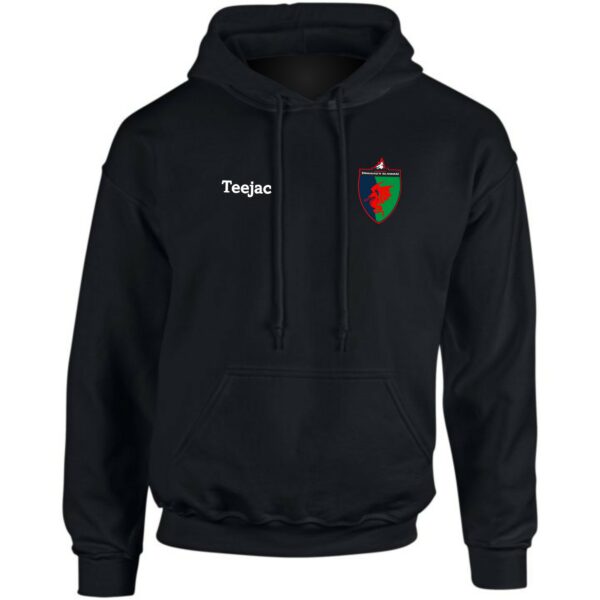 Dreigiau'r Glannau Classic Hoodie