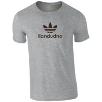 Llandudno Iconic T-Shirt