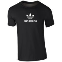 Llandudno Iconic T-Shirt