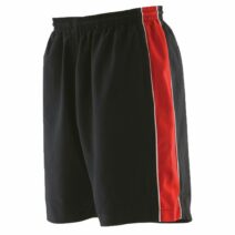 Panelled Contrast Leisure Shorts