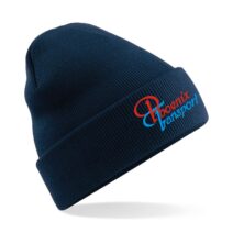 Phoenix Transport Beenie