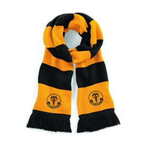 Swansea Medicals RFC Scarf