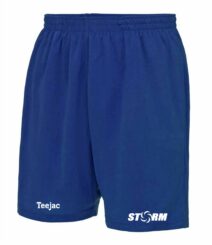 Swansea Storm Gym Shorts