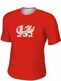 Cymru Printed T-shirt