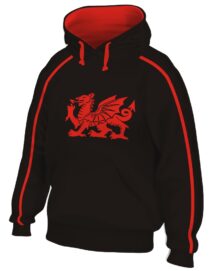 Cymru Printed Hoody