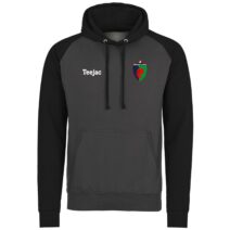 Dreigiau'r Glannau Hoody