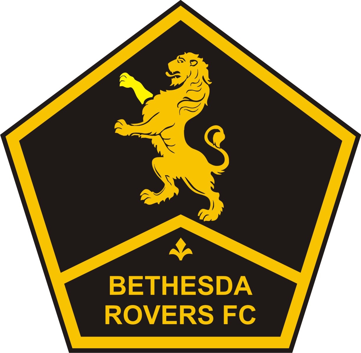 Bethesda Rovers FC