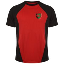 Ysgol Tryfan Junior T-Shirt
