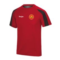 CPD Merched Y Felinheli  Junior Team Dry T-Shirt