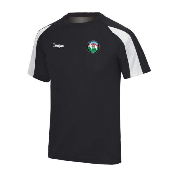 CFFI Dyffryn Madog Sports T-Shirt