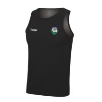 CFFI Dyffryn Madog Vest