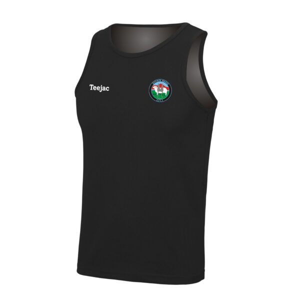 CFFI Dyffryn Madog Vest
