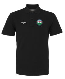 CFFI Dyffryn Madog Classic Polo