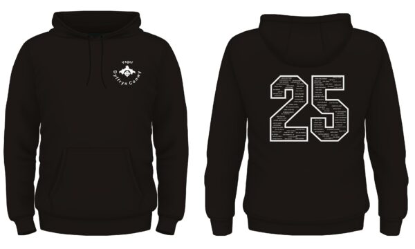 Ysgol Dyffryn Conwy Year 11 Leavers Hoody 2025 XS-L - Image 11
