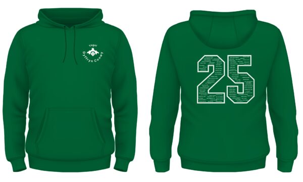 Ysgol Dyffryn Conwy Year 11 Leavers Hoody 2025 XS-L - Image 10