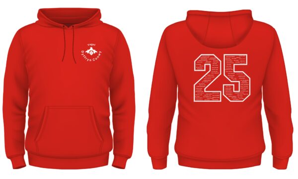 Ysgol Dyffryn Conwy Year 11 Leavers Hoody 2025 XS-L - Image 3