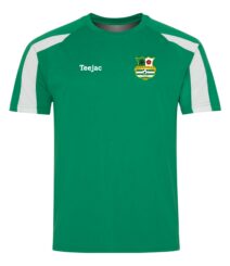 Astley & Tyldesley FC Team Dry T-Shirt