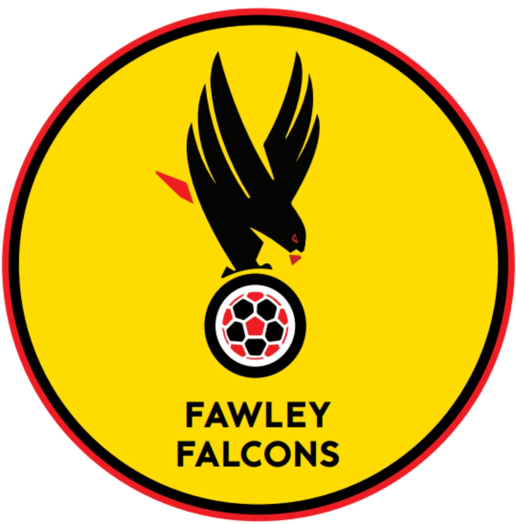 Fawley Falcons